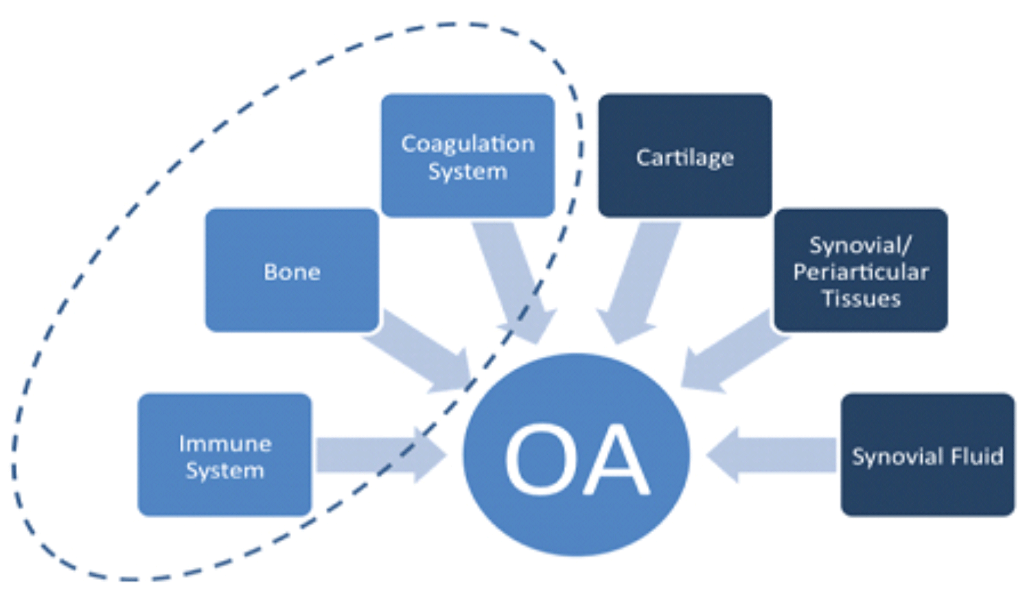 OA-diagram